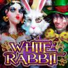 White Rabbit