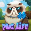 Pug Life