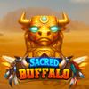 Sacred Buffalo